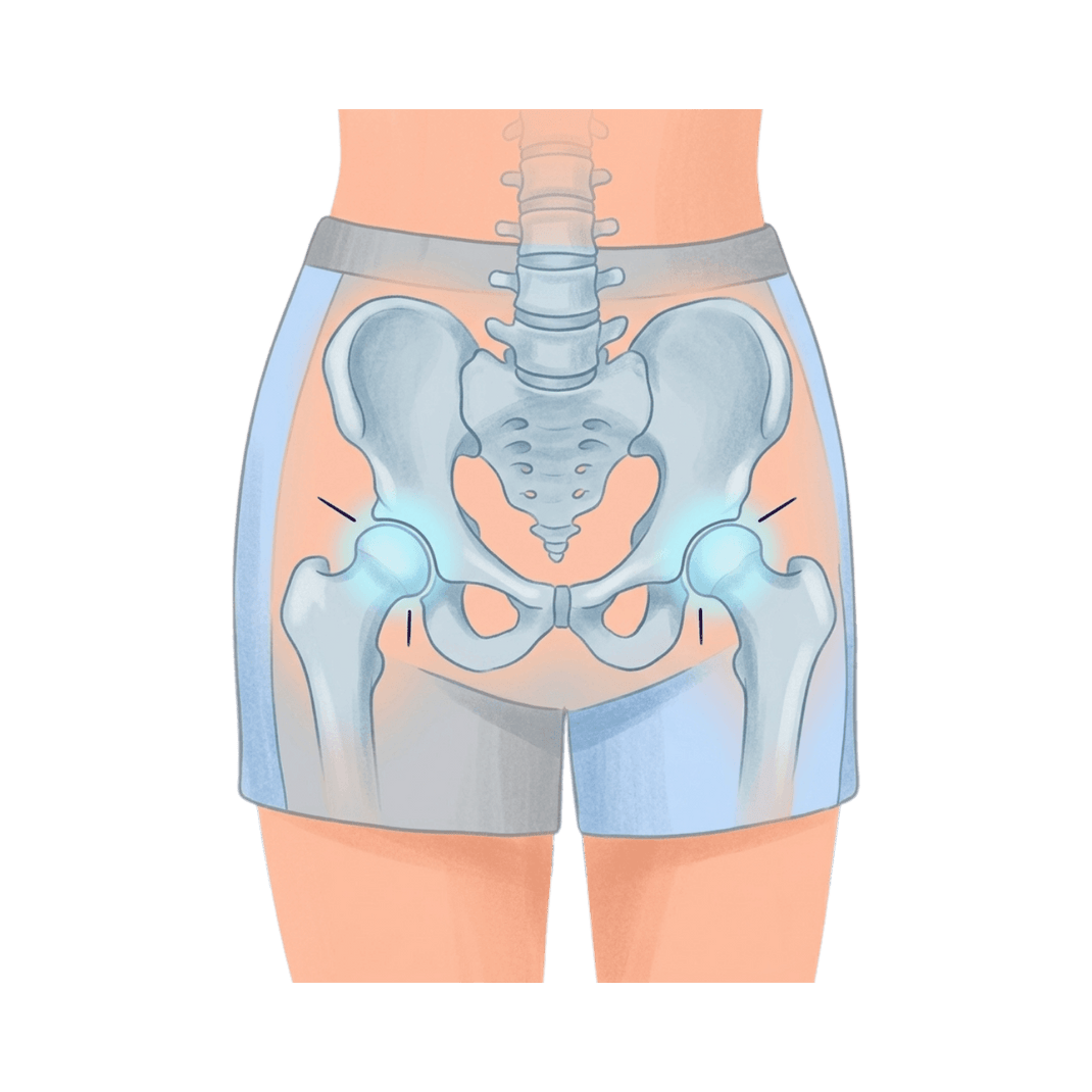 Hips lie more stably - Grafik zum KneeFit